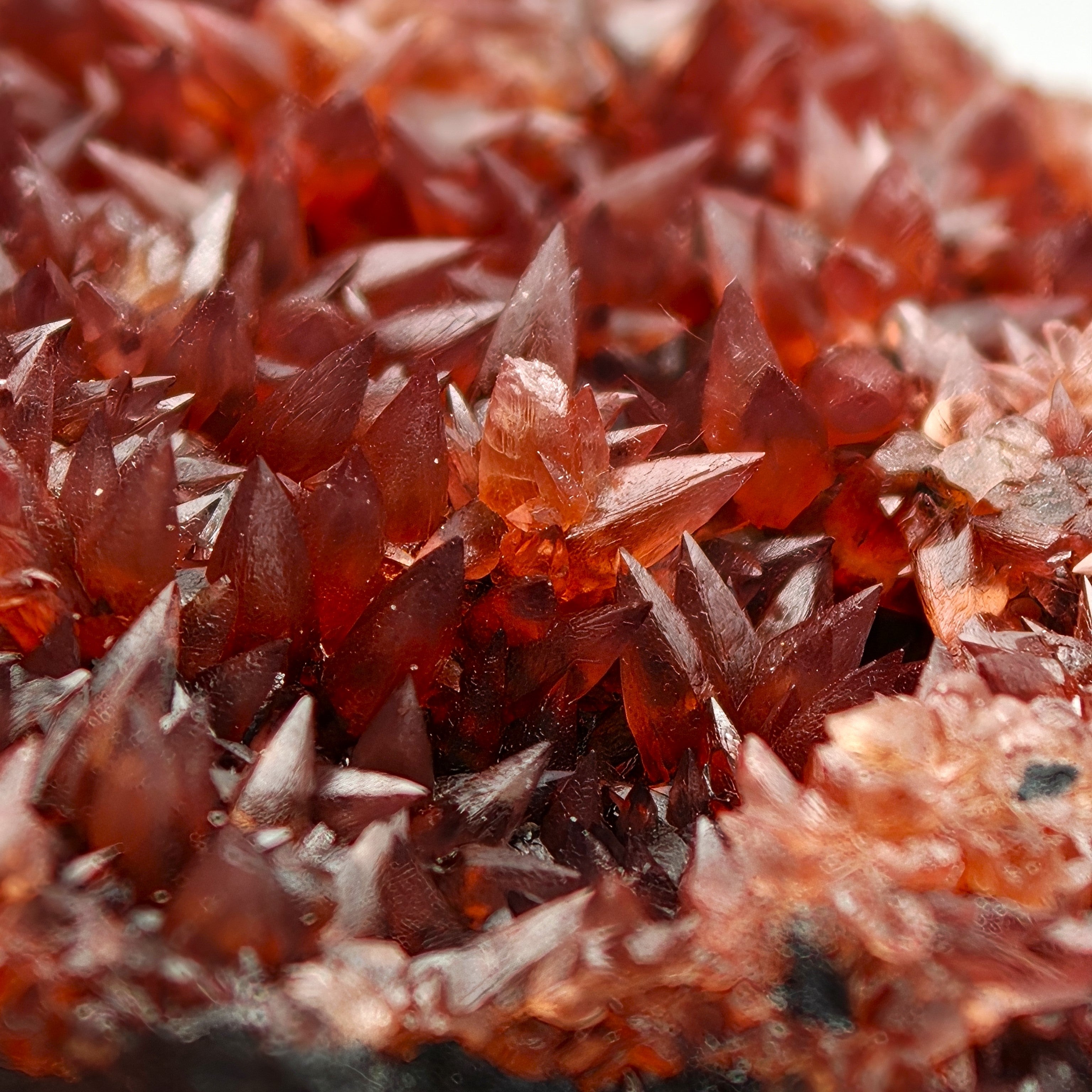 RHODOCHROSITE – Deep Red Scalenohedral Crystal Geode, Moanda Mine, Gabon
