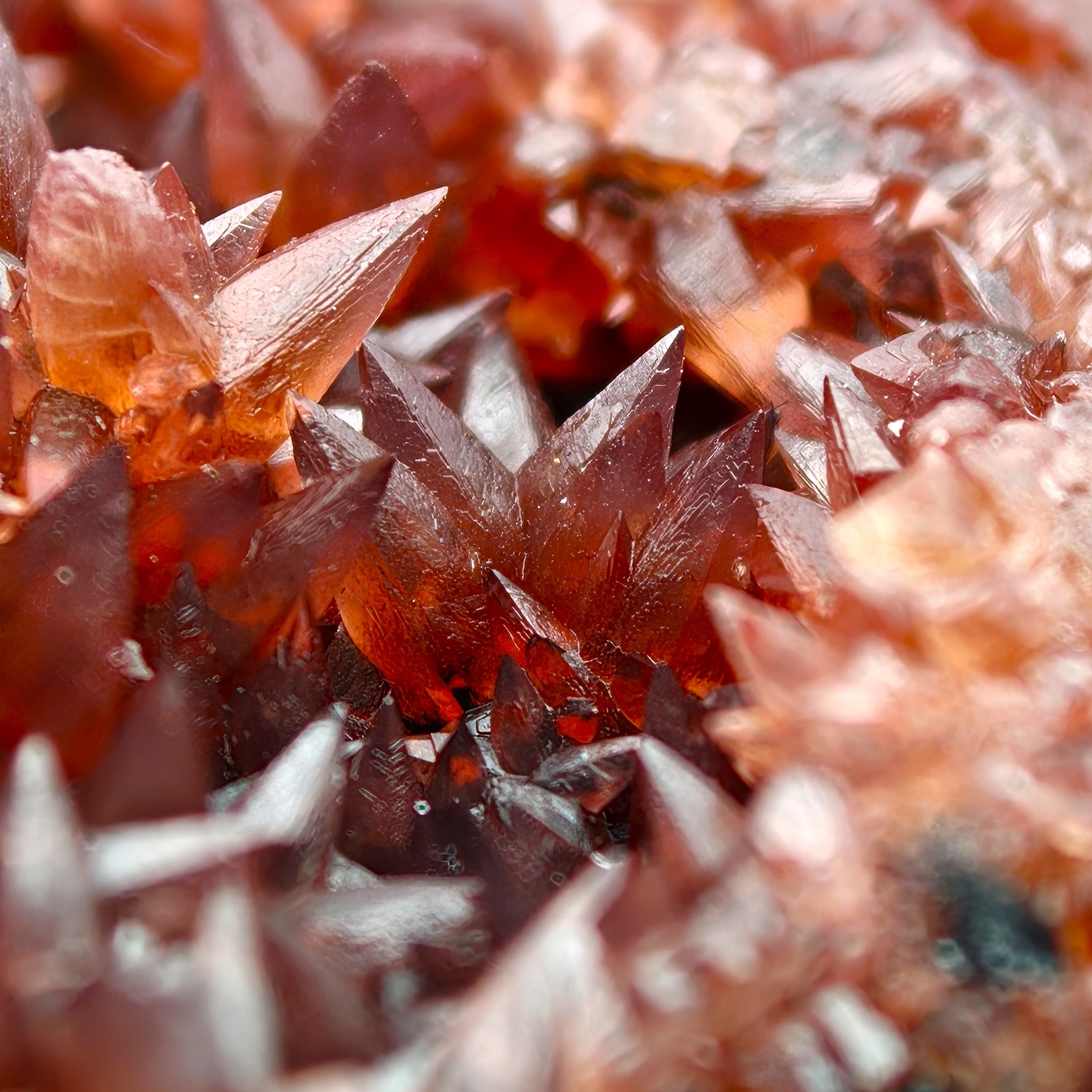 RHODOCHROSITE – Deep Red Scalenohedral Crystal Geode, Moanda Mine, Gabon