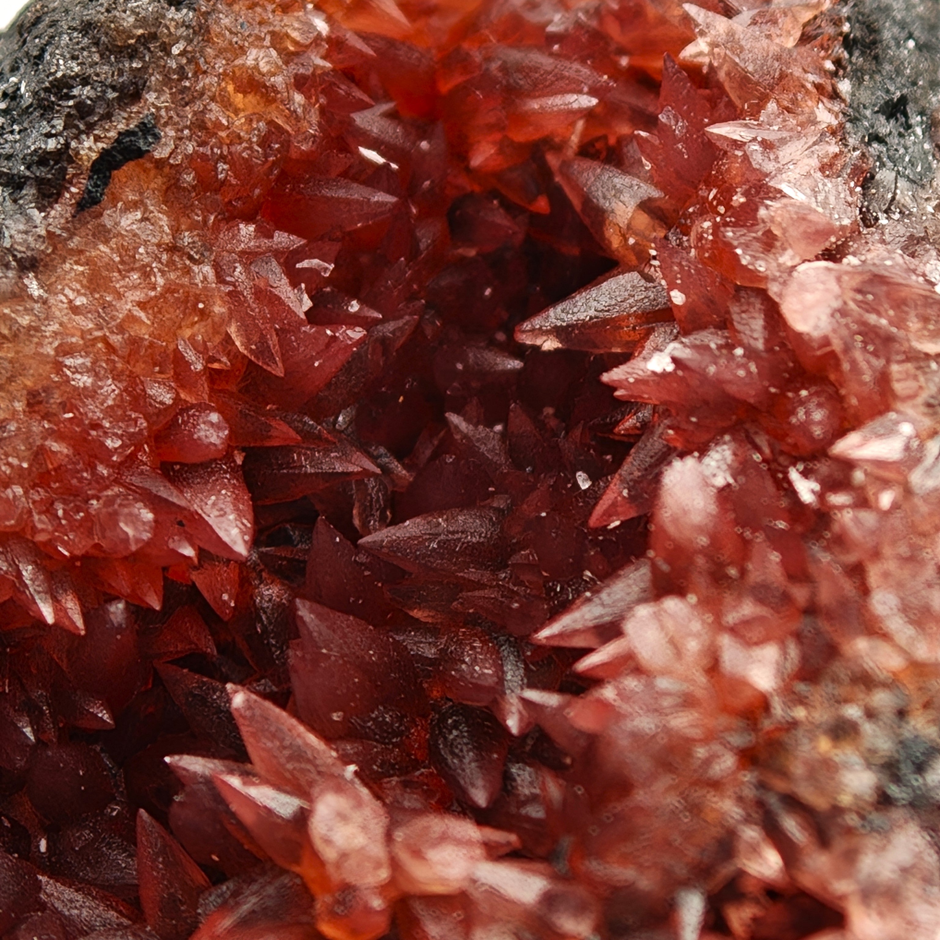 RHODOCHROSITE – Deep Red Scalenohedral Crystal Geode, Moanda Mine, Gabon