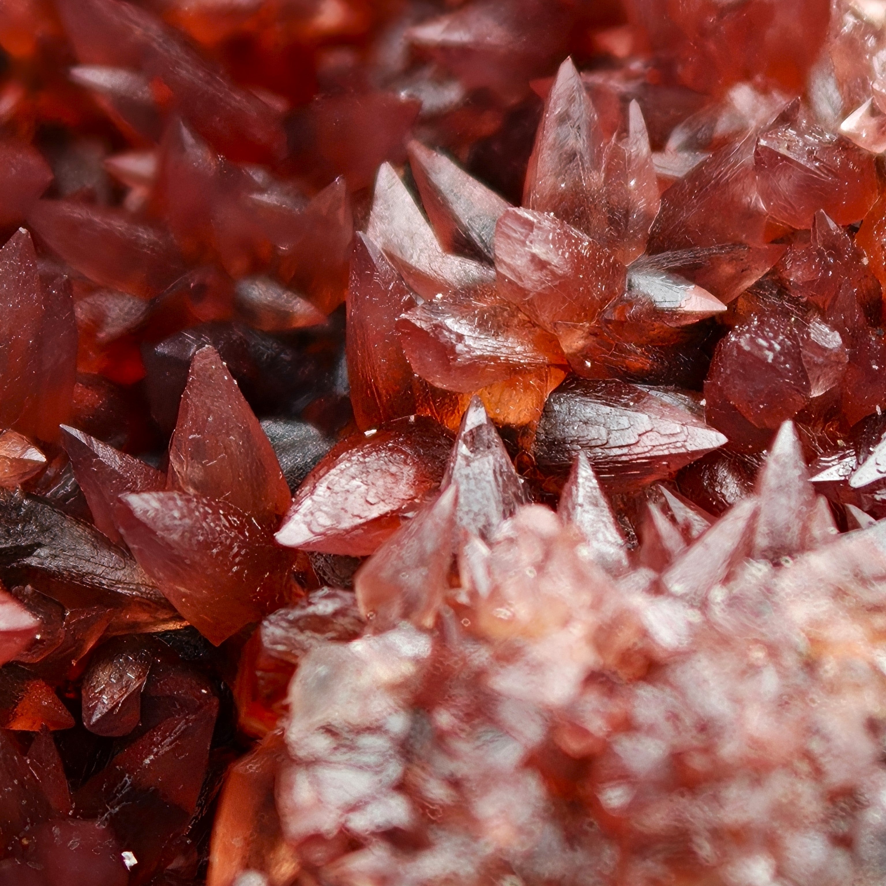 RHODOCHROSITE – Deep Red Scalenohedral Crystal Geode, Moanda Mine, Gabon