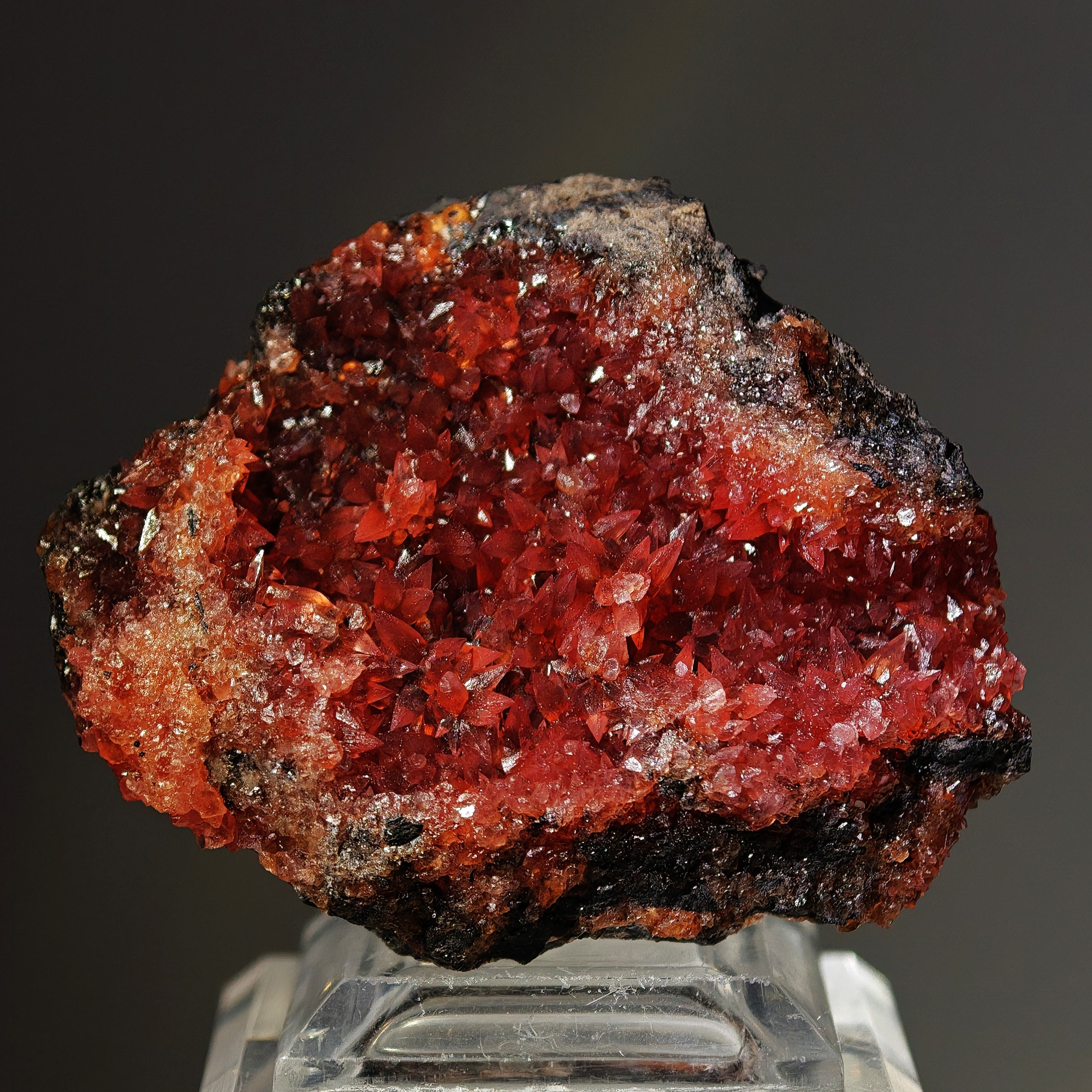RHODOCHROSITE – Deep Red Scalenohedral Crystal Geode, Moanda Mine, Gabon