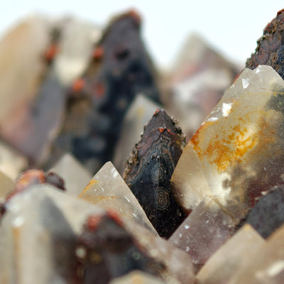 Close-up of calcite crystal face with orange staining and zoned black scalenohedron, Santa Eulalia, Mexico
