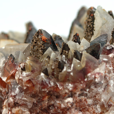 Side view of calcite cluster transitioning from clear to red and black scalenohedra, Santa Eulalia, Mexico