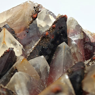 Macro view of red and black calcite scalenohedra with druzy crystal coating, Santa Eulalia, Mexico