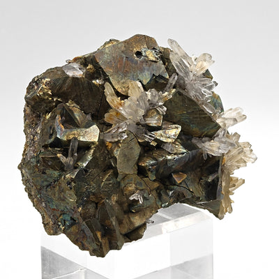 Full view of arsenopyrite and quartz specimen displayed on acrylic stand