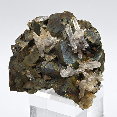 Arsenopyrite crystal cluster with quartz crystals from Julcani, Peru, full specimen view