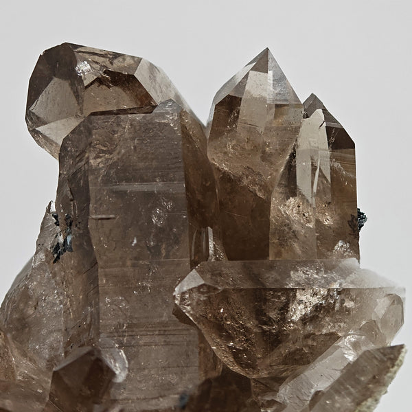 SMOKY QUARTZ & HEMATITE ROSES – Double-Sided Specimen, Cavradi, Switzerland