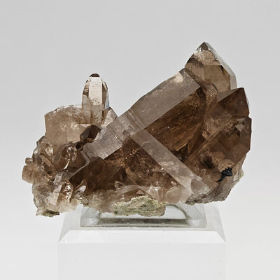 Side view of double-terminated smoky quartz crystals on matrix, Cavradi Gorge, Switzerland