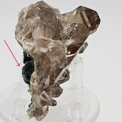 Smoky quartz specimen on stand with arrow indicating hematite rose, Cavradi Gorge Switzerland