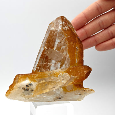 Quartz crystal with limonite shown next to hand for scale, Disentis, Grisons