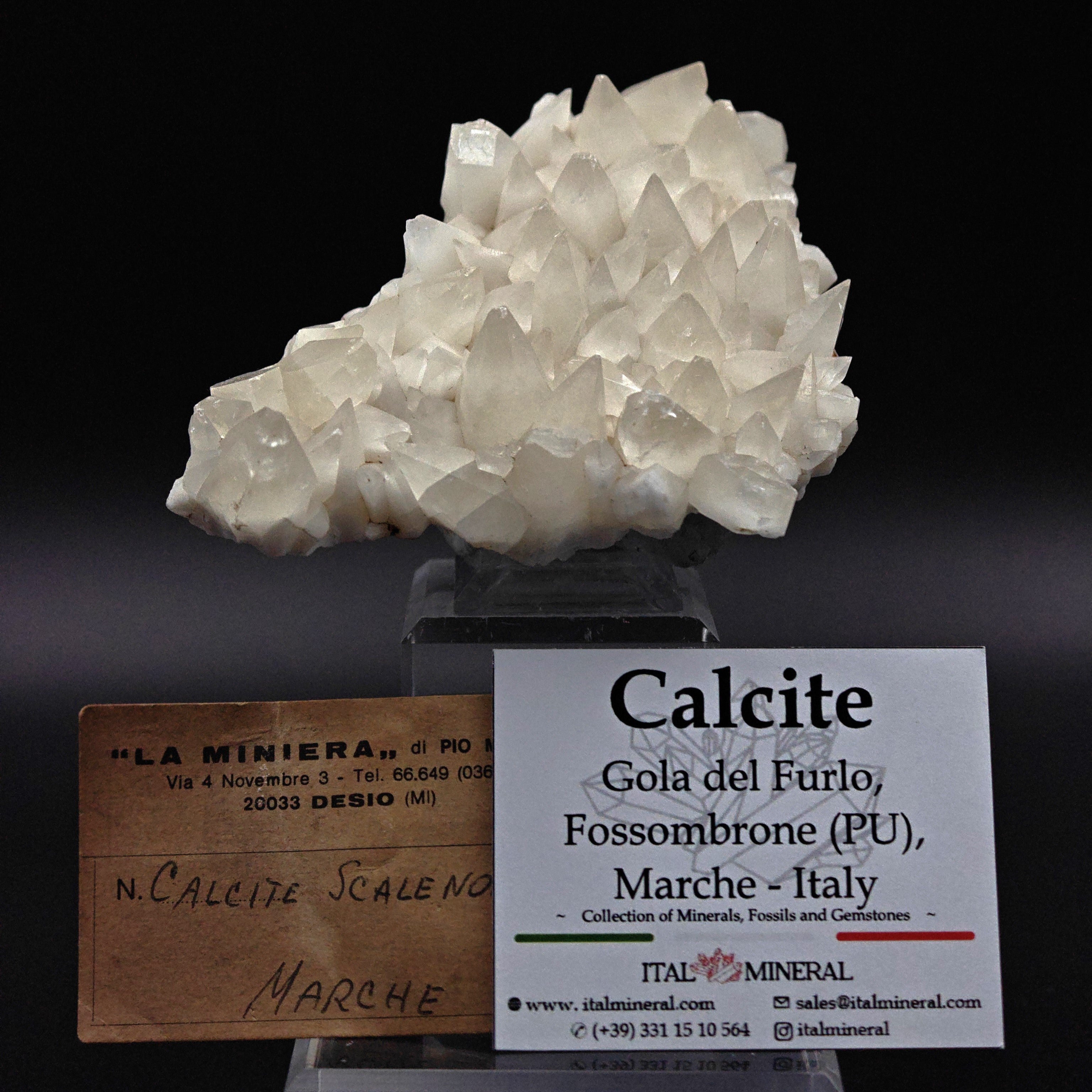 CALCITE – Dogtooth Scalenohedron, Milky White, Furlo Gorge, Marche, Italy