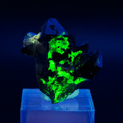Morion quartz with Halite under UV light showing vivid green fluorescence