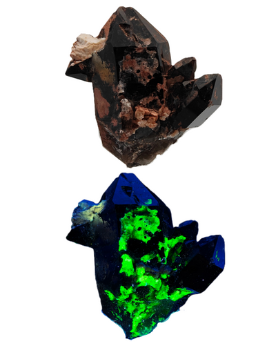 Morion quartz specimen shown in natural light and under UV fluorescence