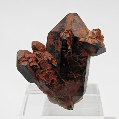 Back view of morion quartz crystal cluster with reddish hematite coating