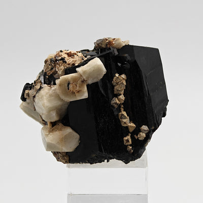 Zircon on aegirine crystal cluster with microcline matrix, Mount Malosa, Malawi