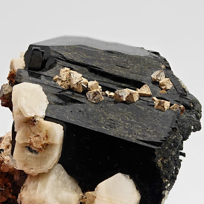 Close-up of zircon crystal row on aegirine prism face, Mount Malosa, Malawi