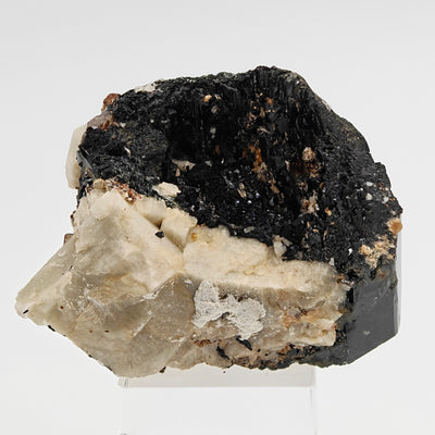 Back view of aegirine and microcline matrix with zircon crystals, Mount Malosa, Malawi