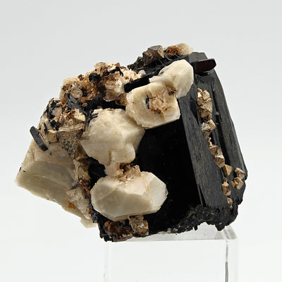 Side view of zircon and aegirine specimen with white microcline crystals, Mount Malosa