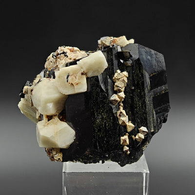 Zircon and aegirine specimen on black background showing microcline association, Mount Malosa, Malawi