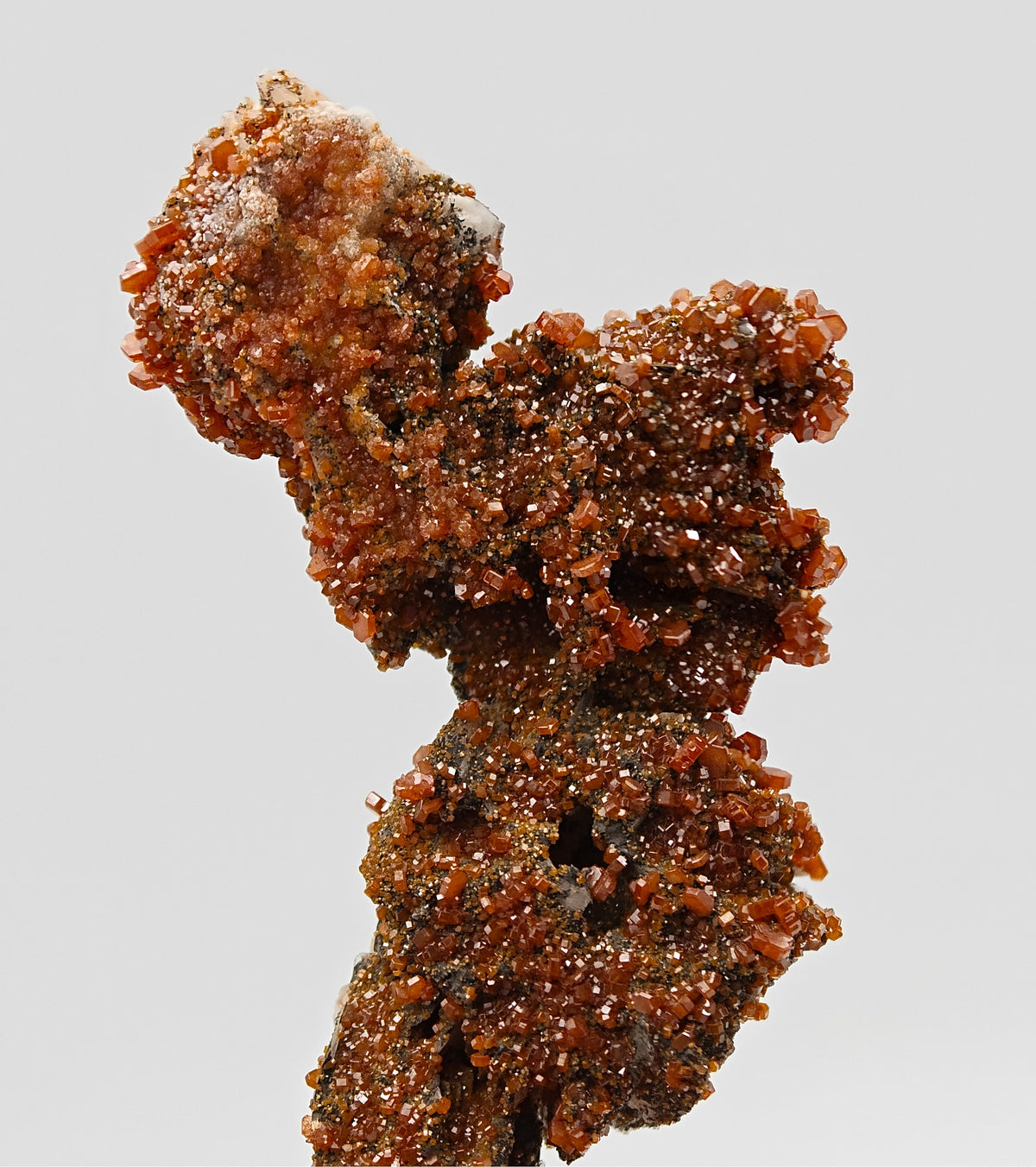 VANADINITE & BLACK BARYTE – 100+ Blood-Red Crystals, Mibladen, Morocco