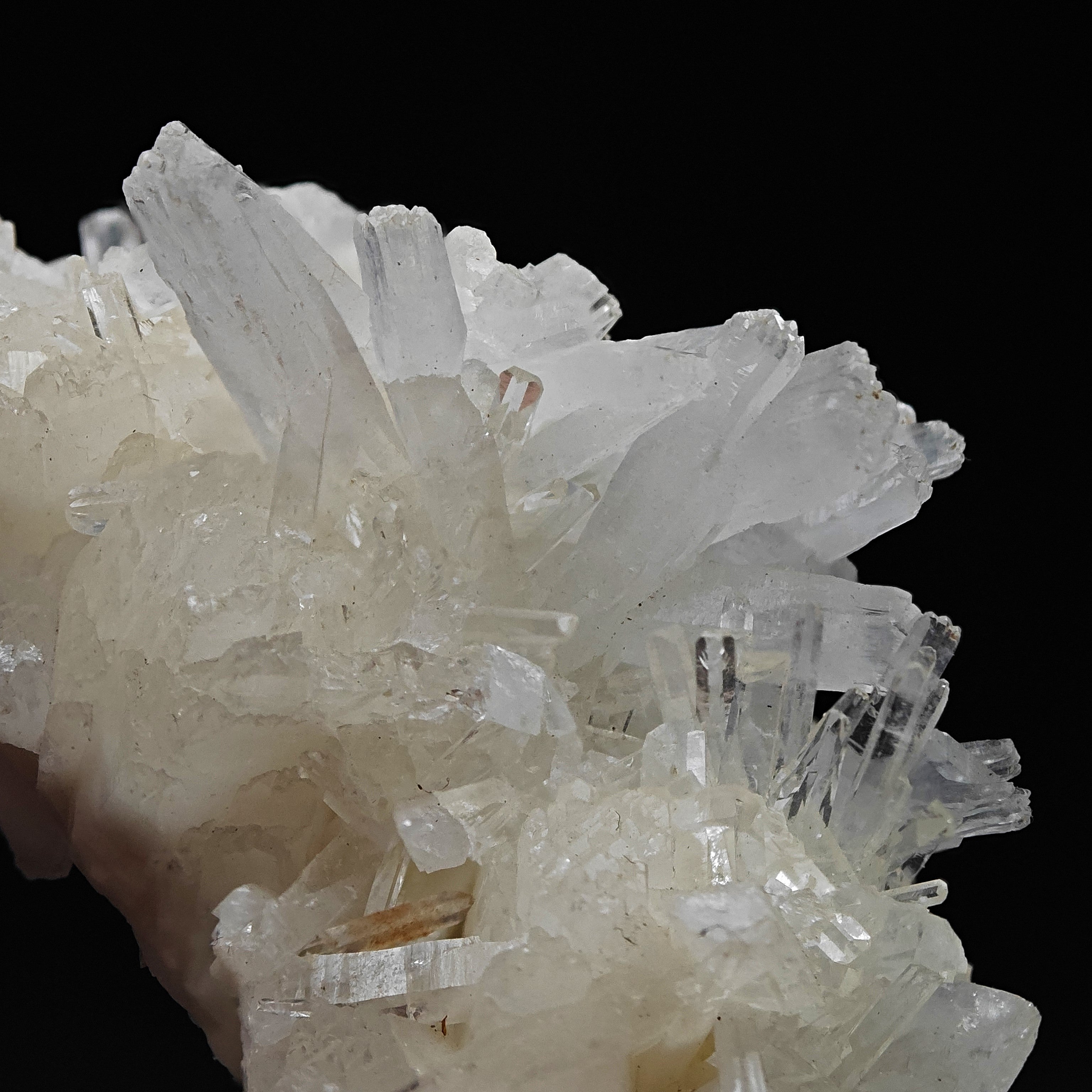 CELESTINE & SULFUR – Double Crystallization, La Grasta Mine, Sicily, Italy