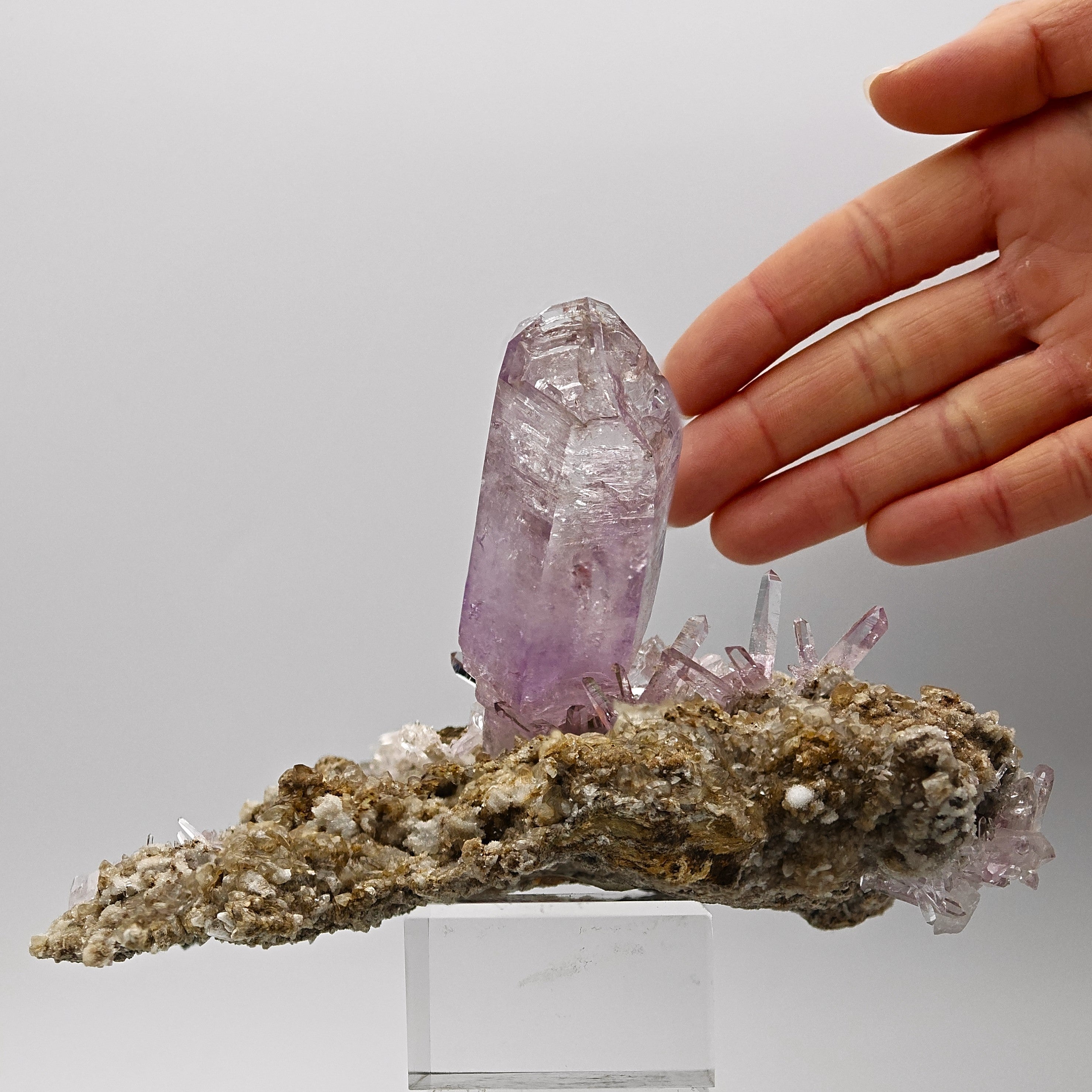 AMETHYST – Giant 8cm Scepter & Skeletal Crystal with Epidote, Veracruz, Mexico