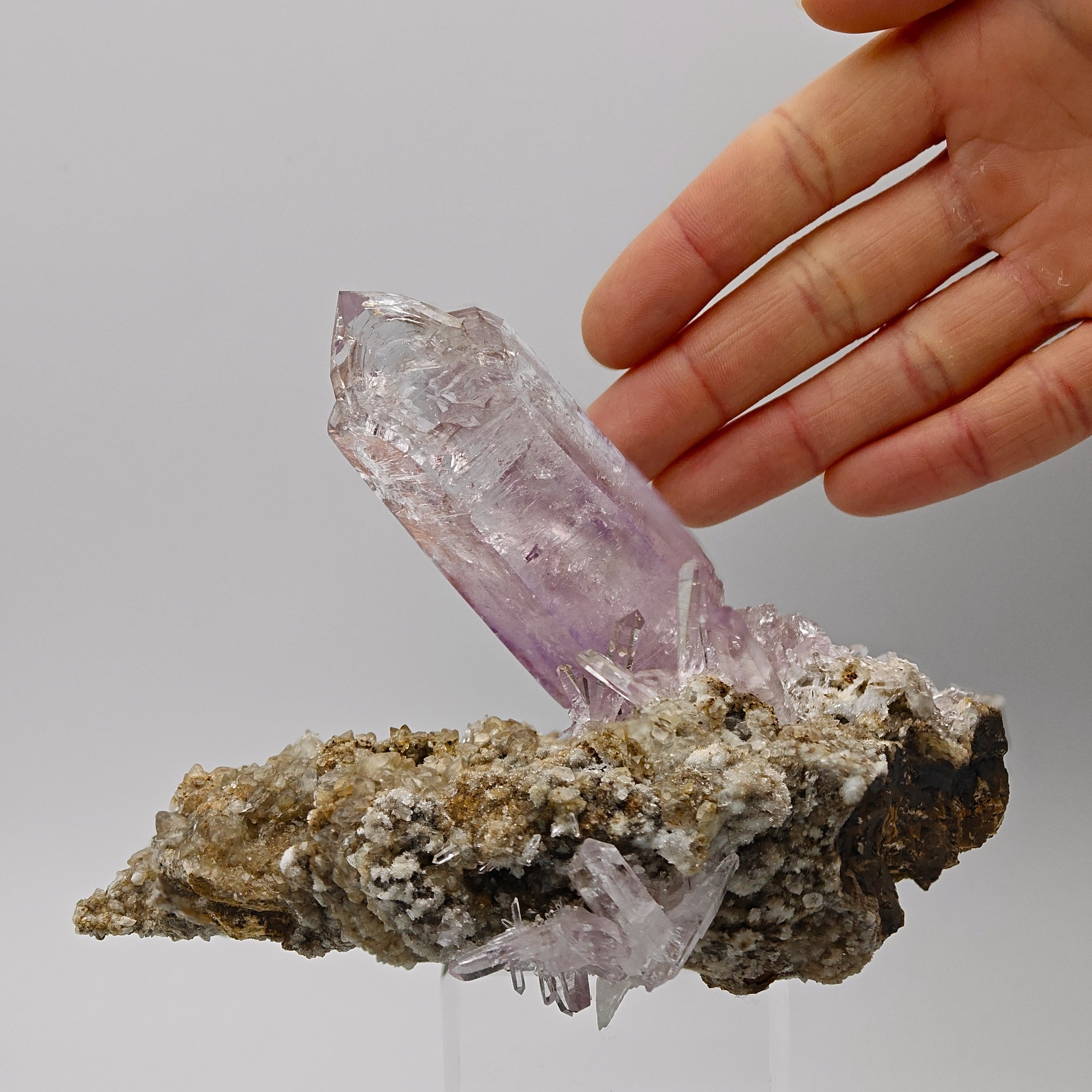 AMETHYST – Giant 8cm Scepter & Skeletal Crystal with Epidote, Veracruz, Mexico