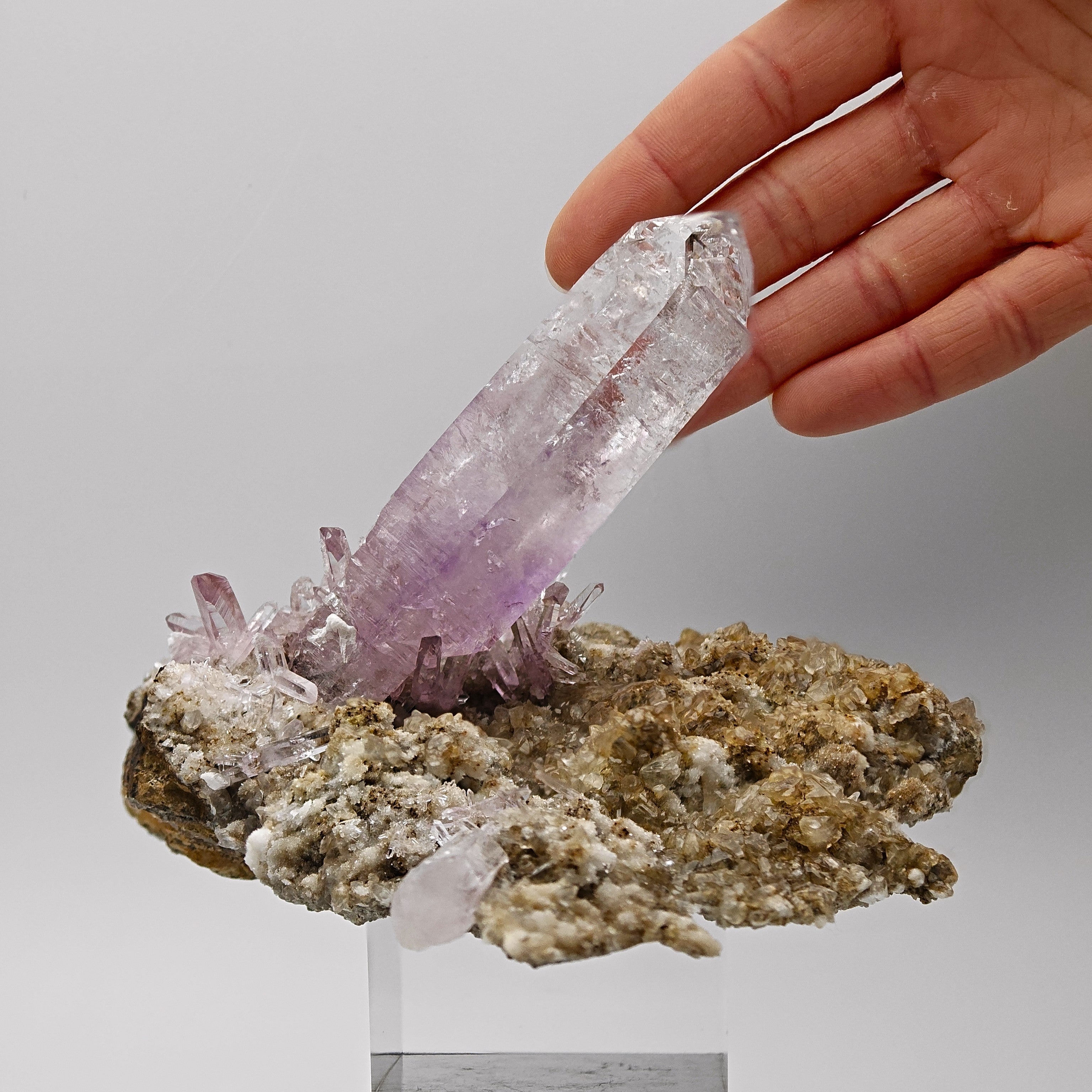 AMETHYST – Giant 8cm Scepter & Skeletal Crystal with Epidote, Veracruz, Mexico