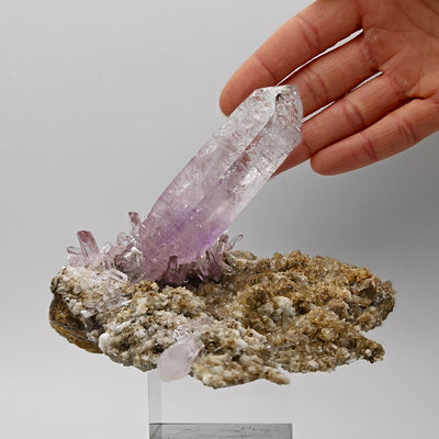 Amethyst scepter crystal displayed on stand with hand for scale, Veracruz, Mexico