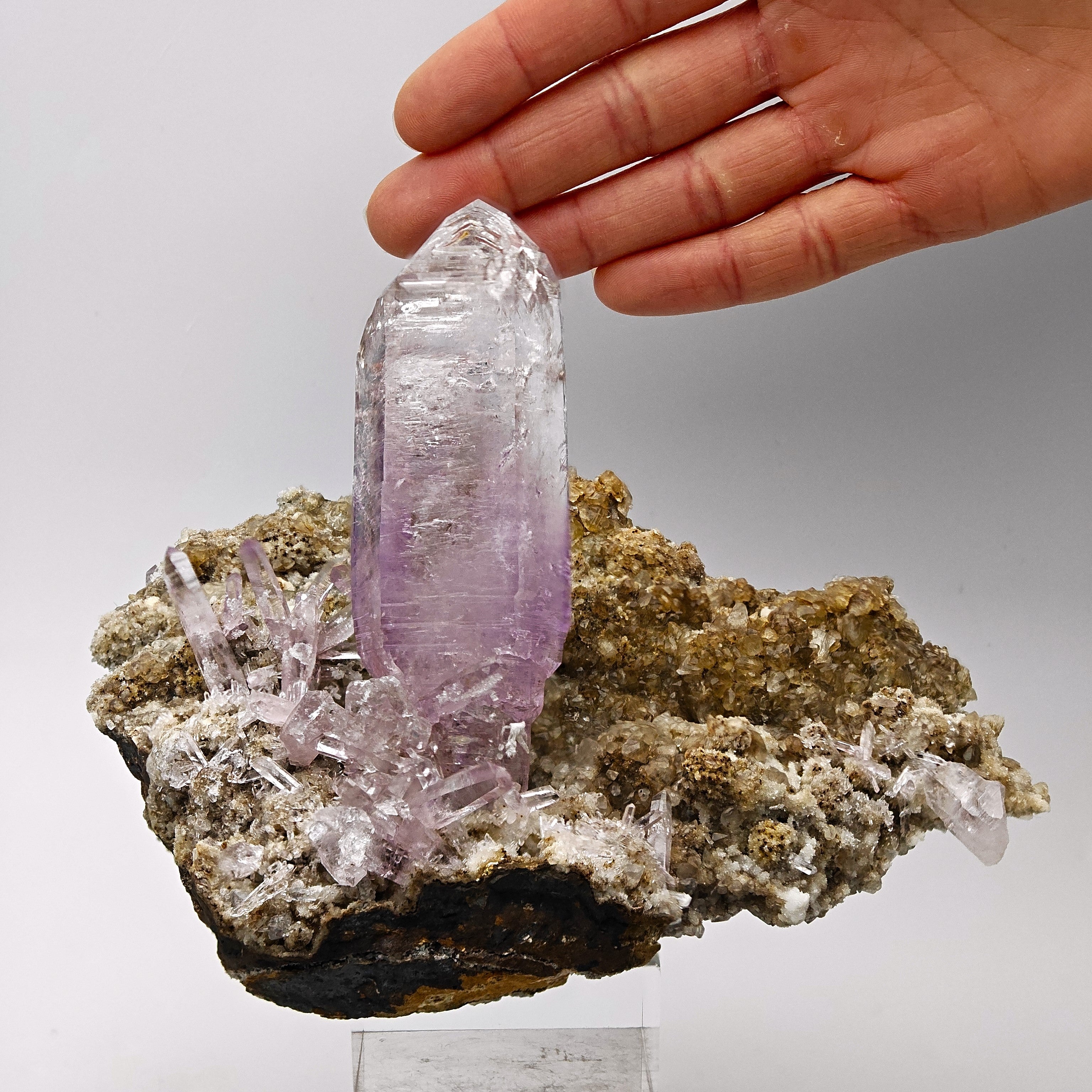AMETHYST – Giant 8cm Scepter & Skeletal Crystal with Epidote, Veracruz, Mexico