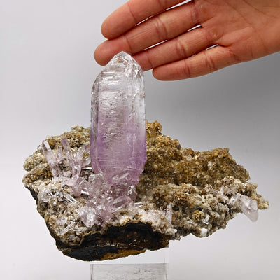 Full specimen view with hand showing amethyst crystal and matrix, Veracruz, Mexico