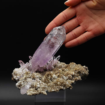 AMETHYST – Giant 8cm Scepter & Skeletal Crystal with Epidote, Veracruz, Mexico
