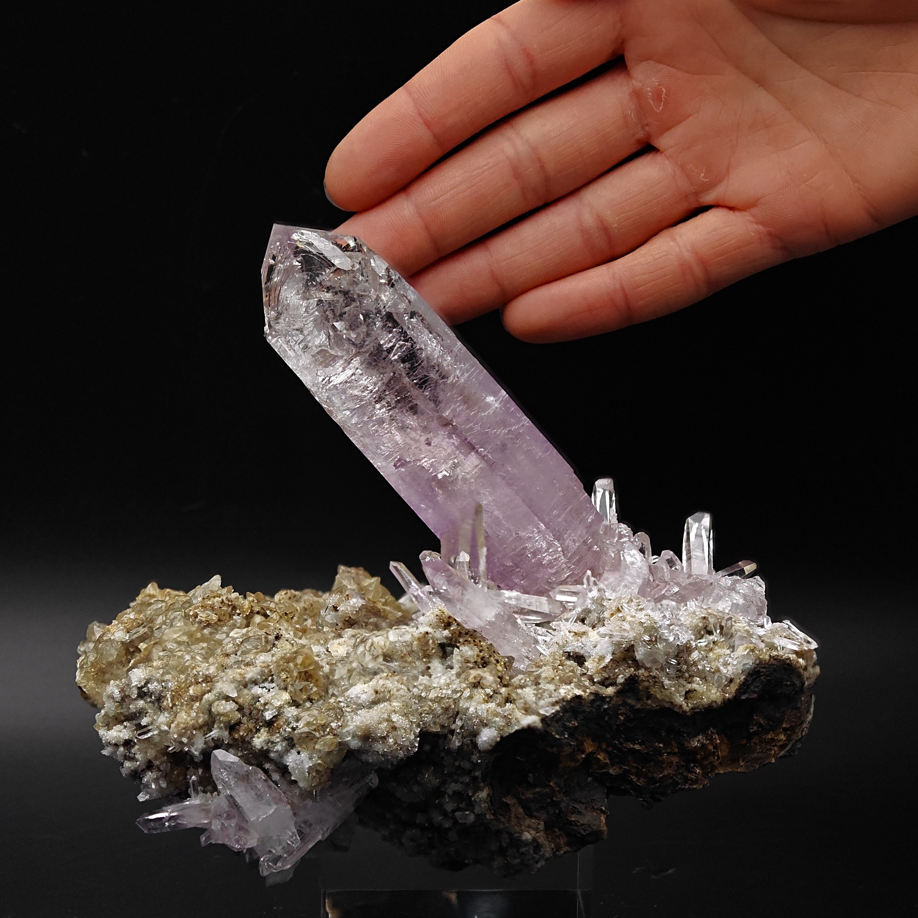 AMETHYST – Giant 8cm Scepter & Skeletal Crystal with Epidote, Veracruz, Mexico