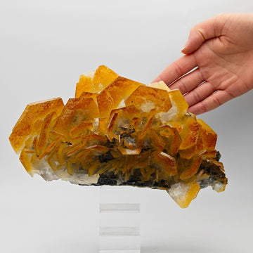 CALCITE – New Find, Yellow, Orange & White Hexagonal Cluster, China