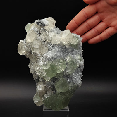 Specimen displayed with hand for scale showing green Fluorite and Calcite crystal formation