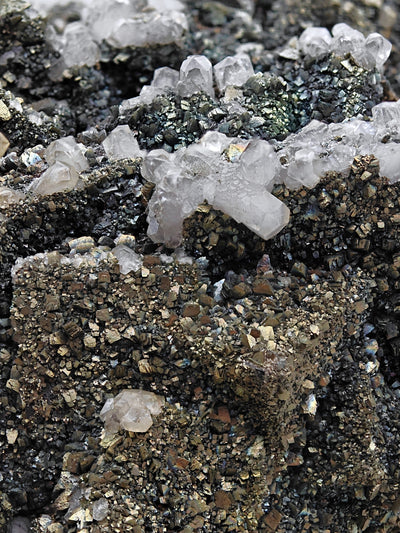 Close-up of cubic Fluorite crystals on Marcasite crust, Silius
