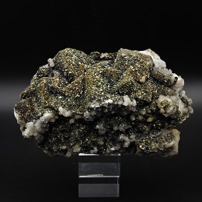 Marcasite and Fluorite specimen on black background, Silius, Sardinia