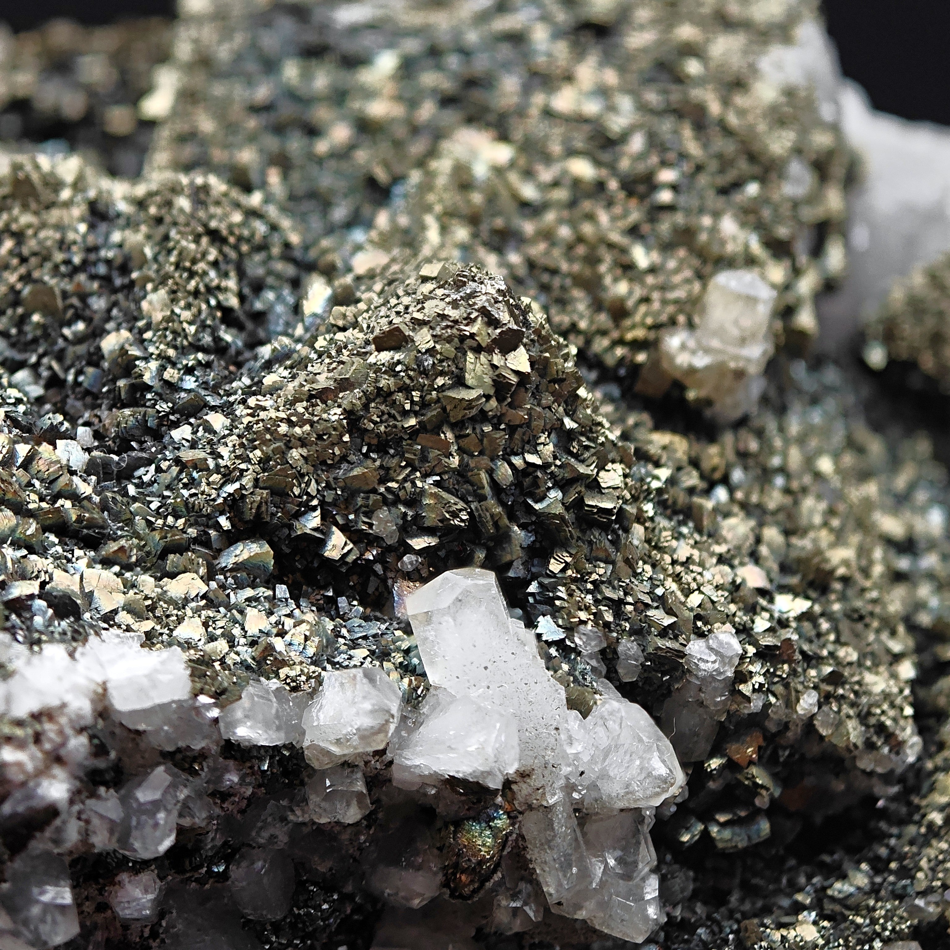 MARCASITE & FLUORITE – Golden Crystals on Cubes, Silius, Sardinia, Italy