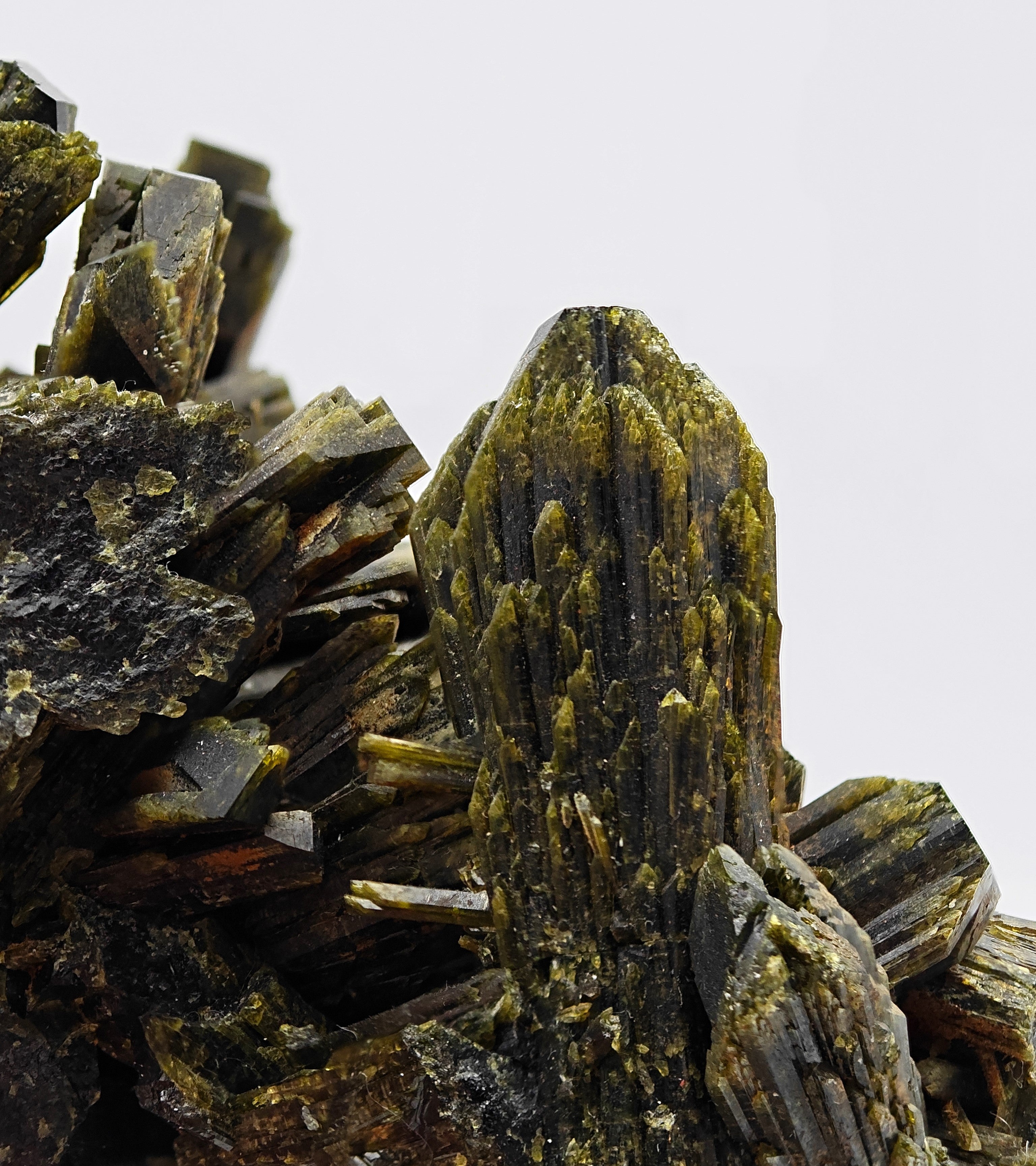 EPIDOTE  – Giant Lance Shaped Crystals from Quetta, Pakistan