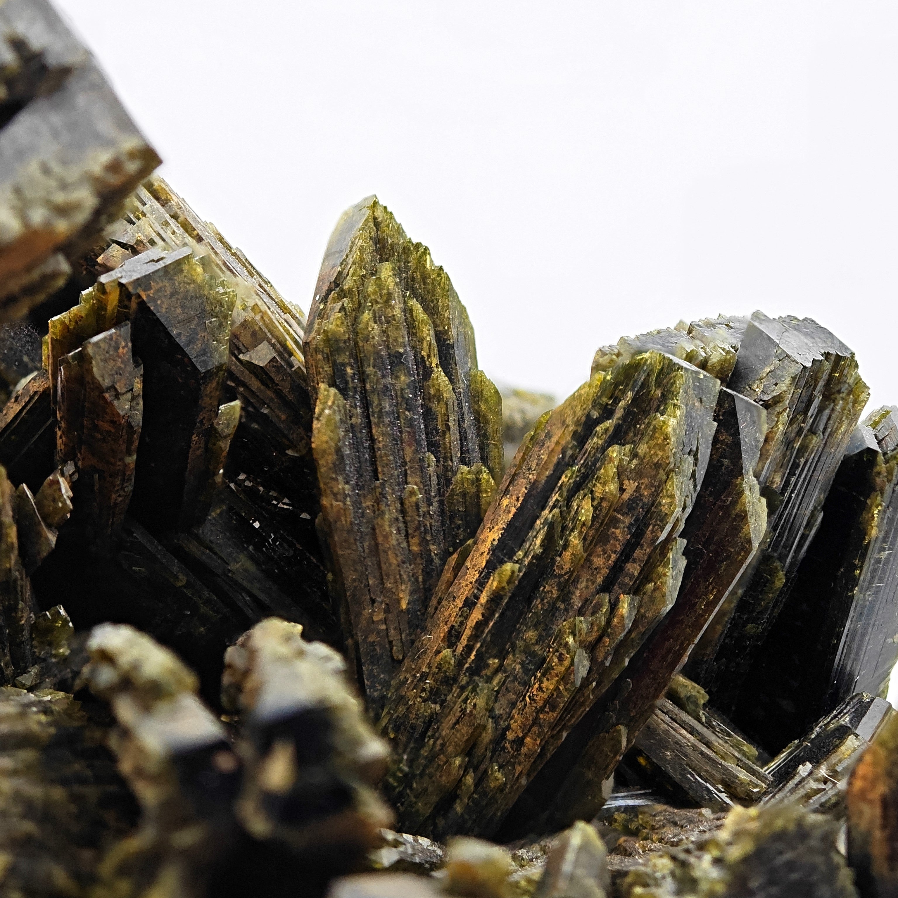 EPIDOTE  – Giant Lance Shaped Crystals from Quetta, Pakistan