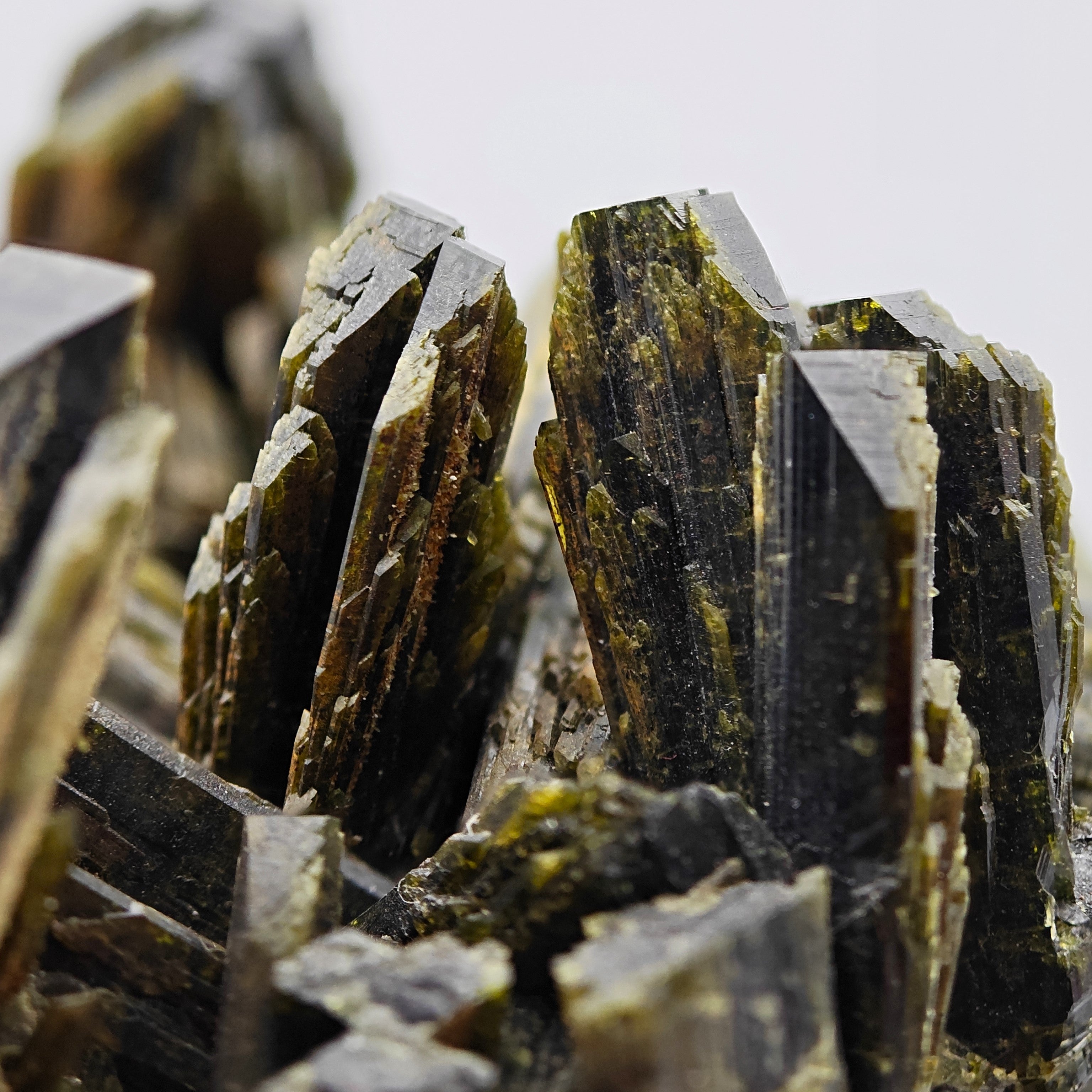 EPIDOTE  – Giant Lance Shaped Crystals from Quetta, Pakistan