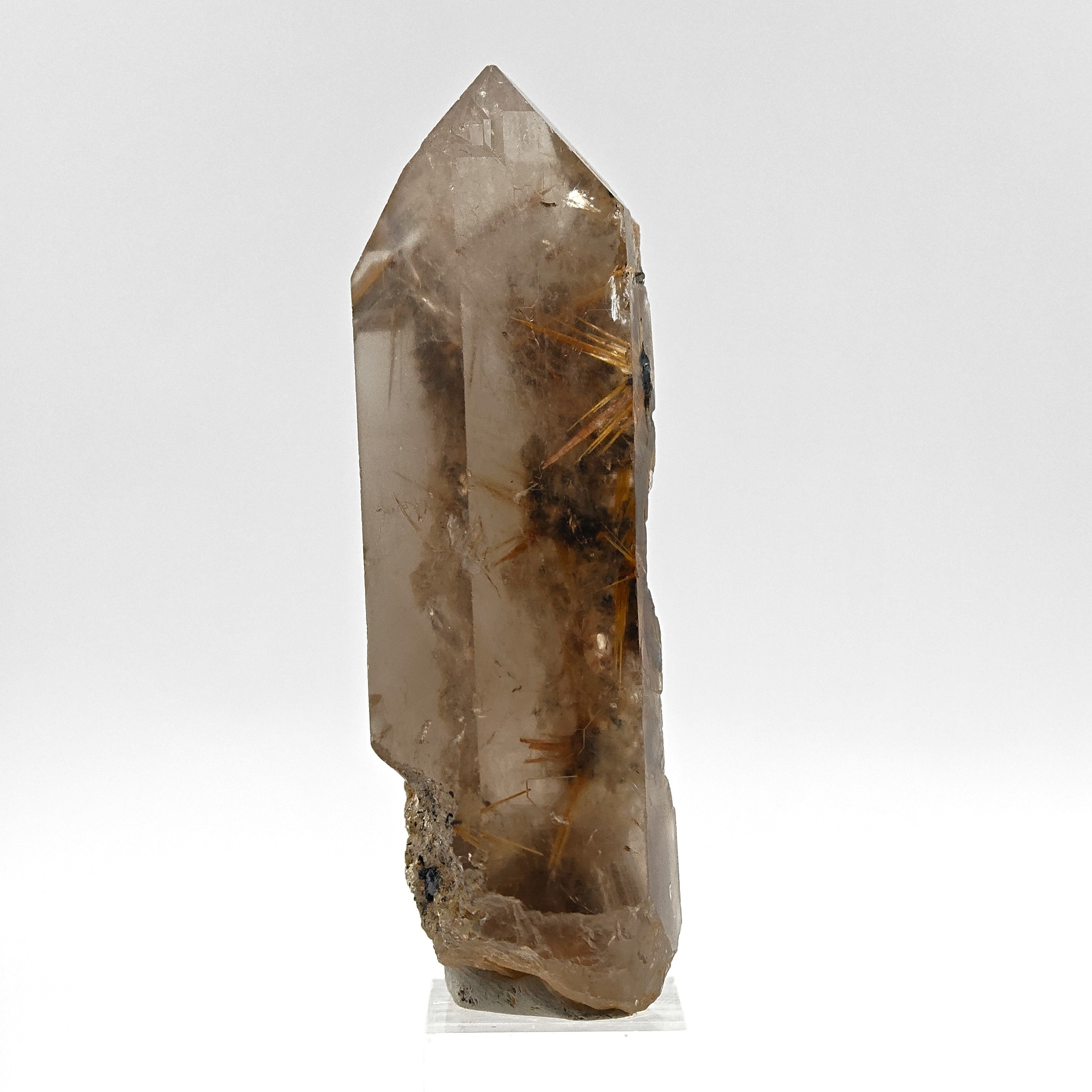 RUTILE & SMOKY QUARTZ – Large Golden Crystal Stars on Hematite, Brazil