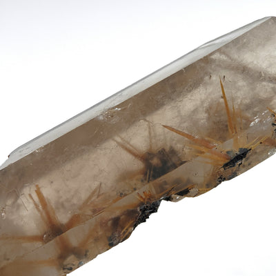 Close-up of golden rutile star cluster on hematite base within smoky quartz crystal