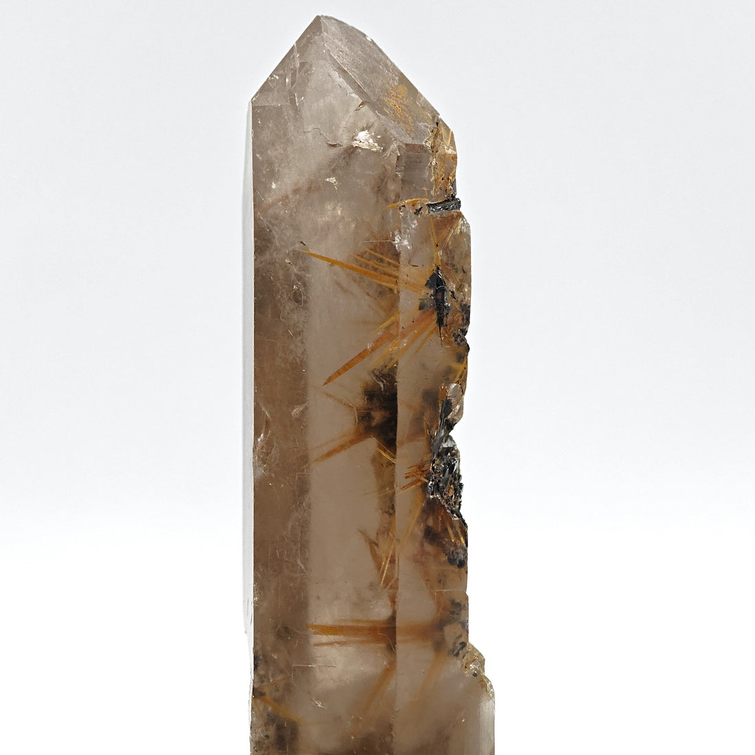RUTILE & SMOKY QUARTZ – Large Golden Crystal Stars on Hematite, Brazil