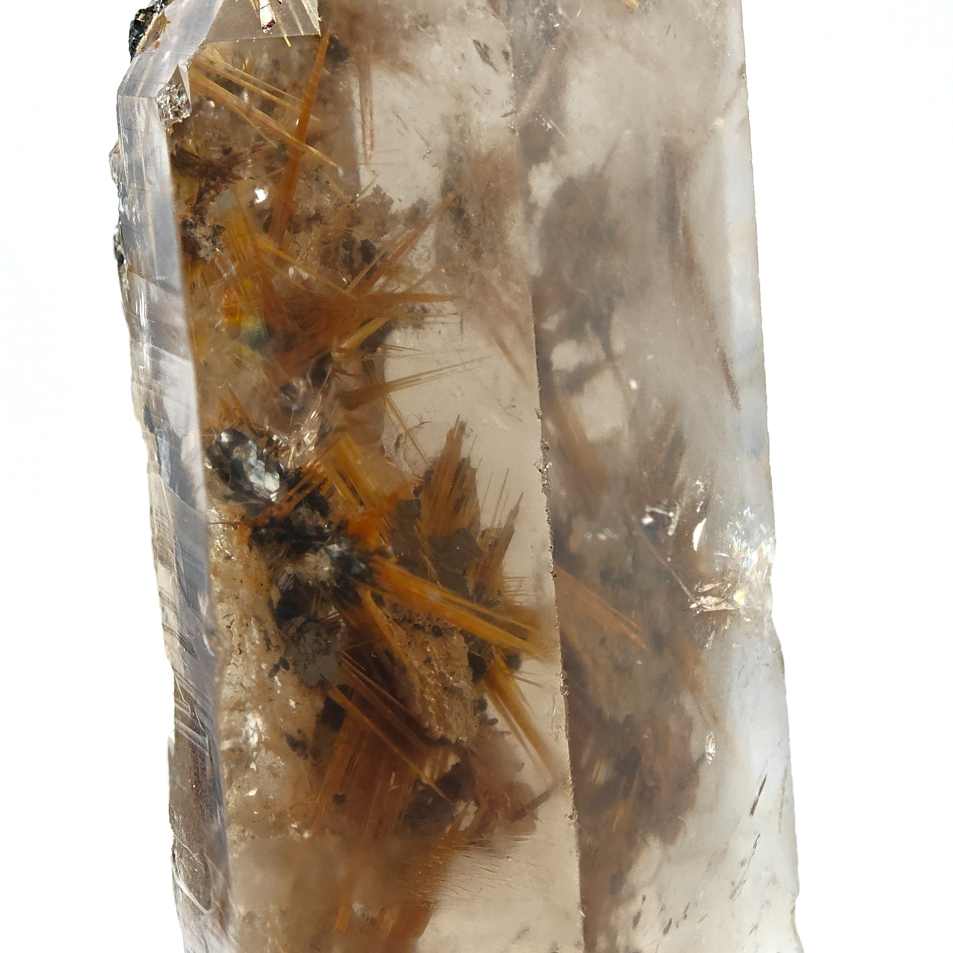 RUTILE & SMOKY QUARTZ – Large Golden Crystal Stars on Hematite, Brazil