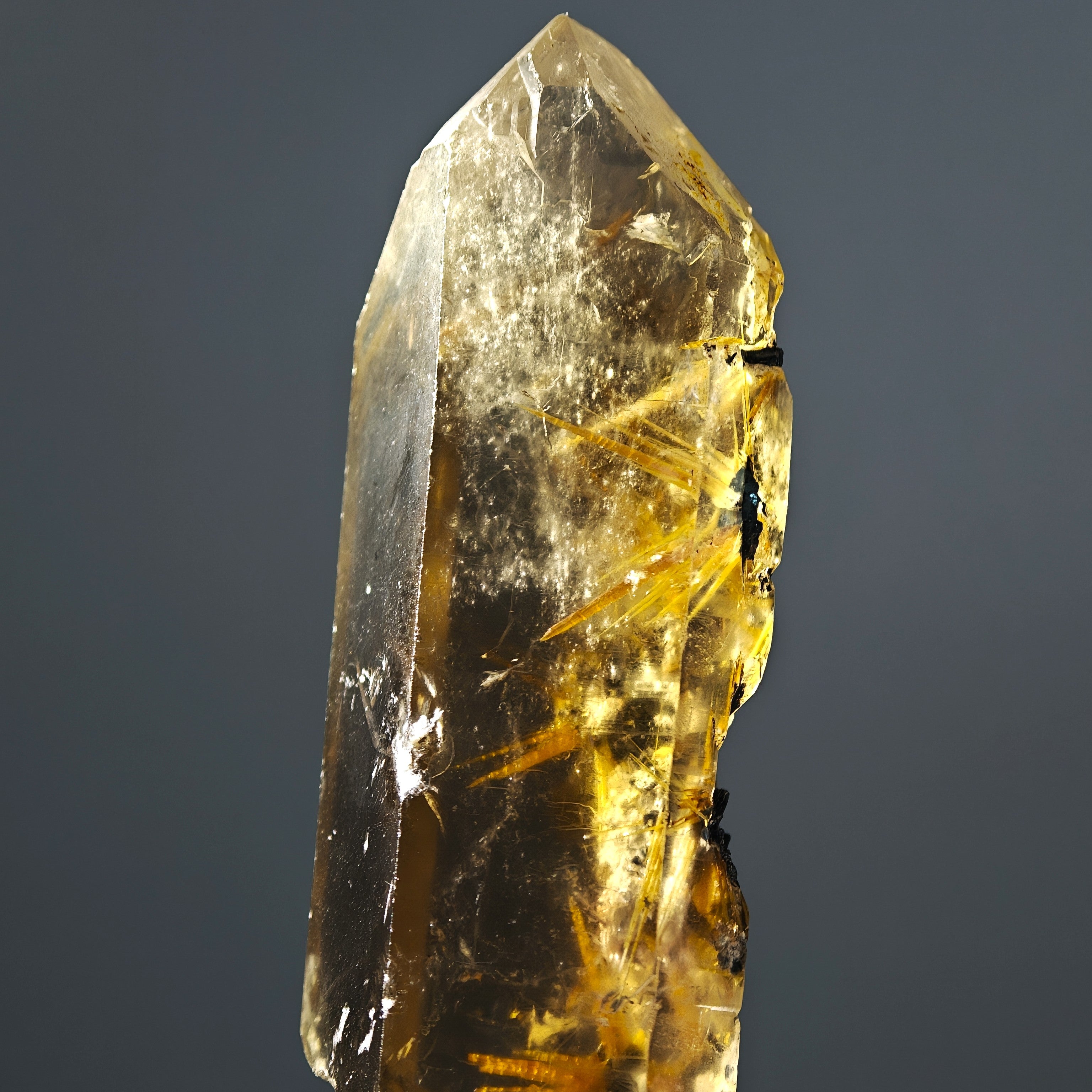 RUTILE & SMOKY QUARTZ – Large Golden Crystal Stars on Hematite, Brazil