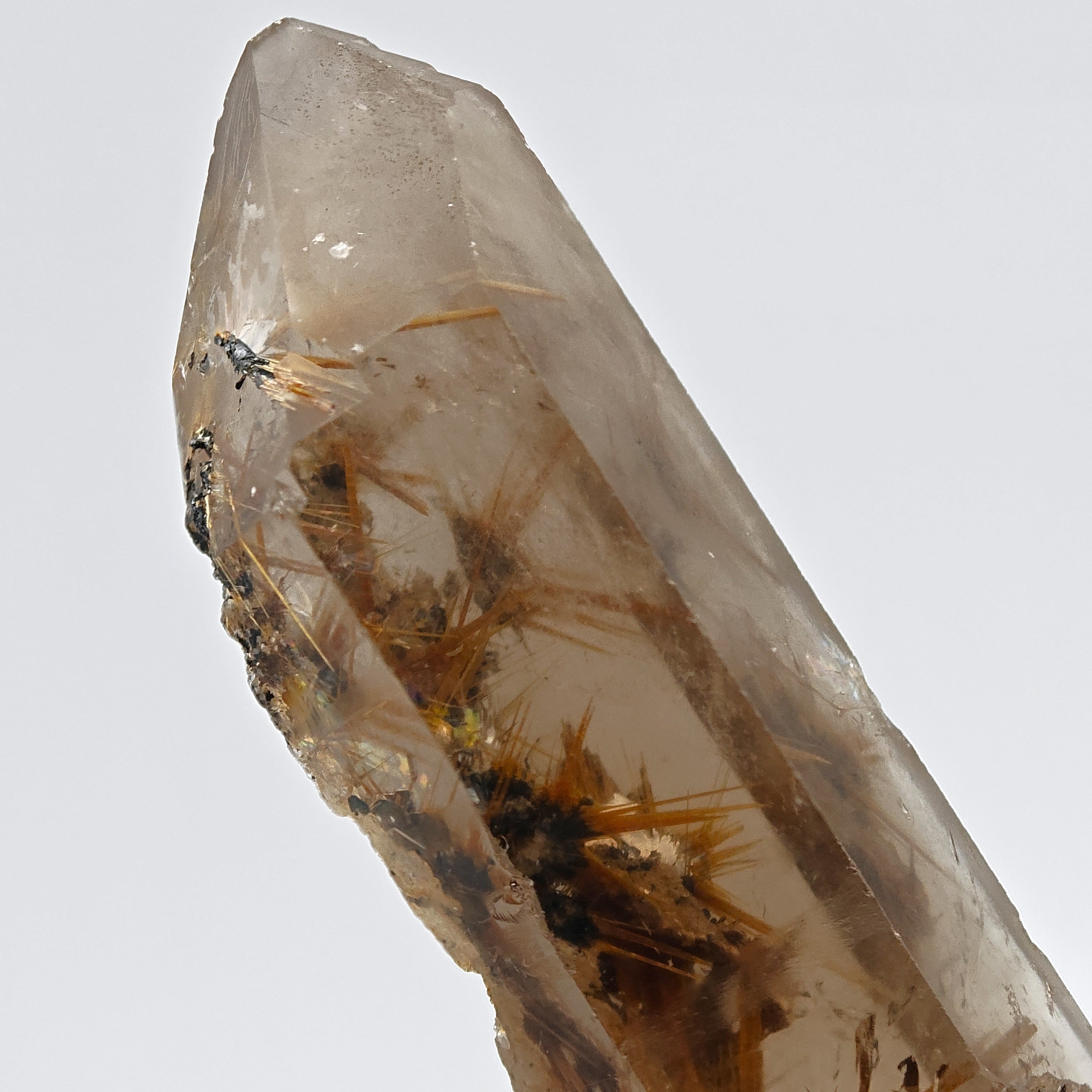 RUTILE & SMOKY QUARTZ – Large Golden Crystal Stars on Hematite, Brazil