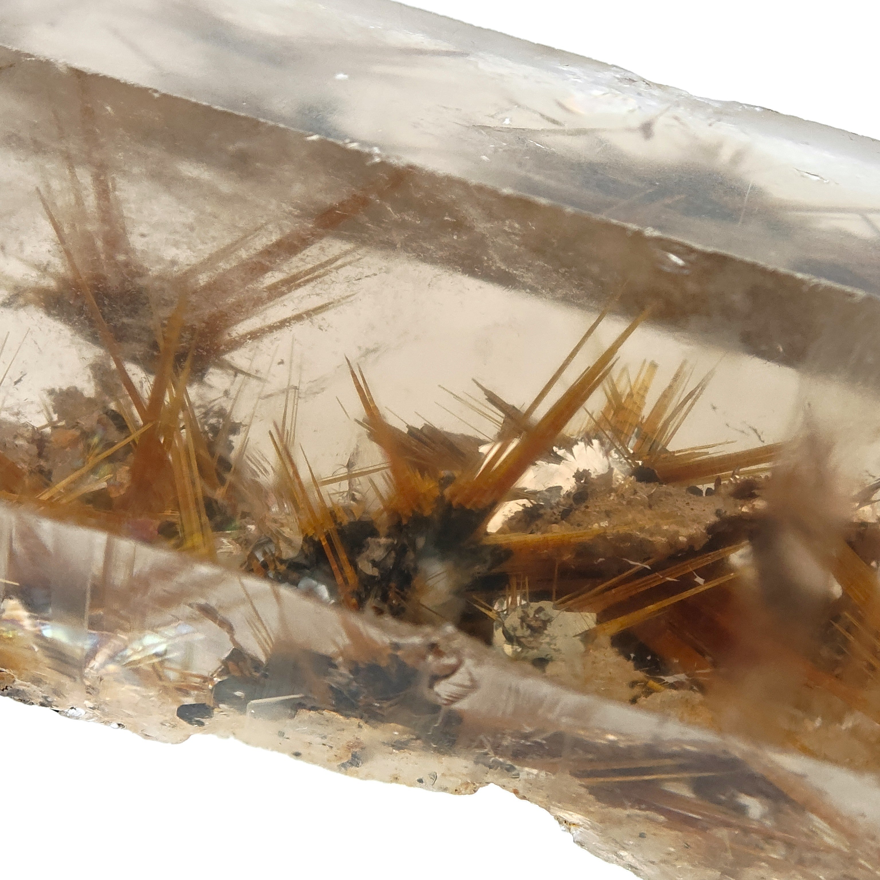 RUTILE & SMOKY QUARTZ – Large Golden Crystal Stars on Hematite, Brazil