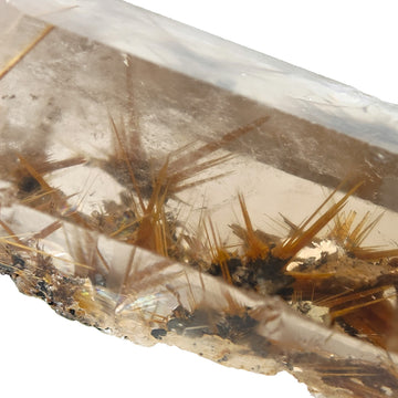 RUTILE & SMOKY QUARTZ – Large Golden Crystal Stars on Hematite, Brazil
