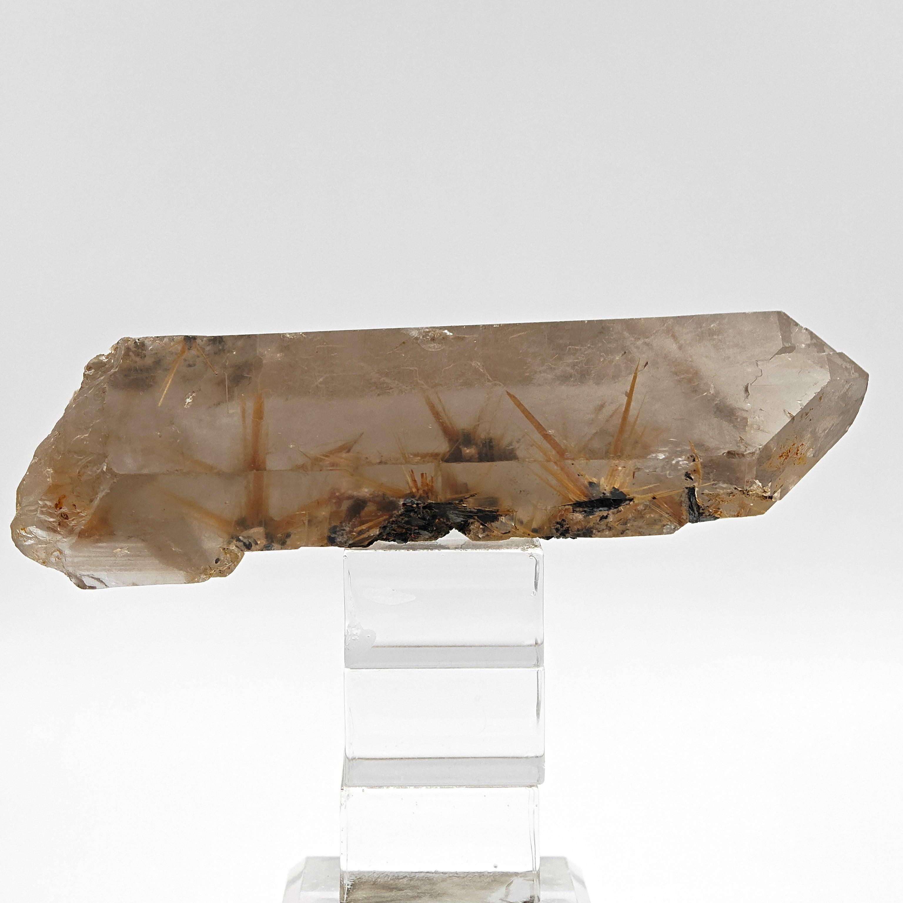 RUTILE & SMOKY QUARTZ – Large Golden Crystal Stars on Hematite, Brazil